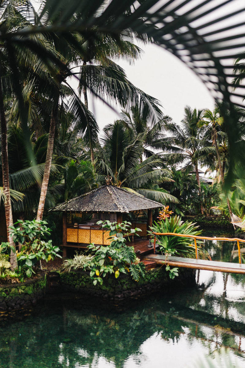 Women’s Hockey Fans and Players Deserve Better from the NWHL Women’s Hockey Fans and Players Deserve Better from the NWHL